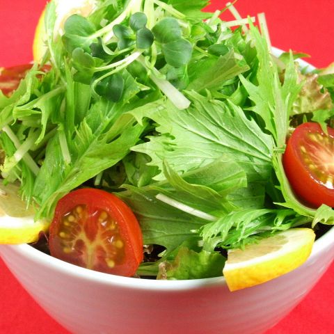 採れたて野菜を肉のお供にの写真